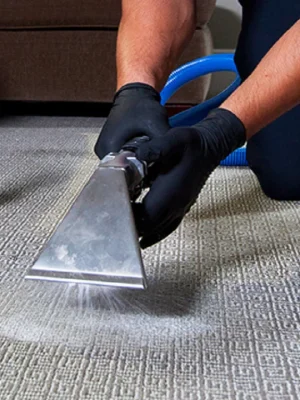 Carpet Cleaning and Shampooing2